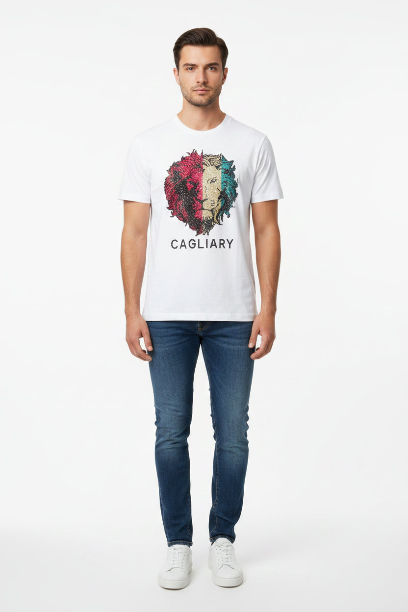 cagliary brand ,lion detail on front and plain white on back coloured diemonts detail